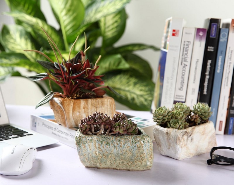 Brillar rutina Dureza Pequeñas macetas decorativas para pequeñas plantas suculentas - EL BLOG DE  LA TABLA