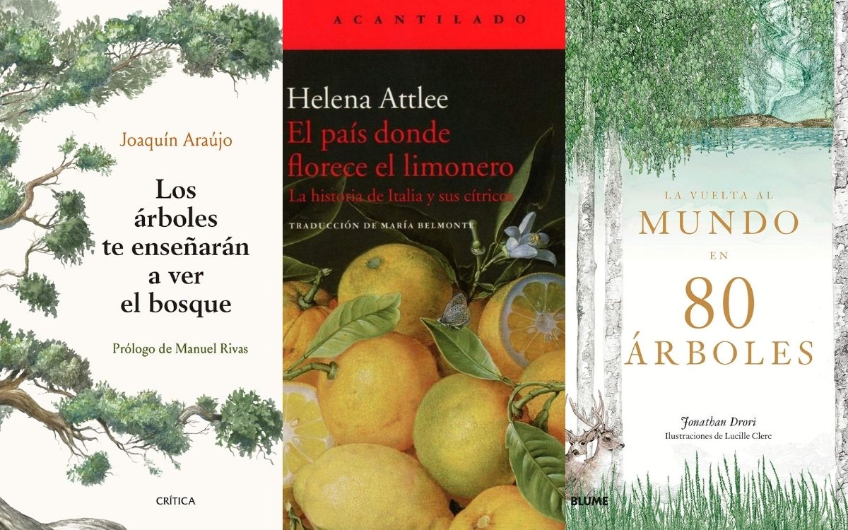 10 libros donde los árboles son protagonistas - EL BLOG DE LA TABLA