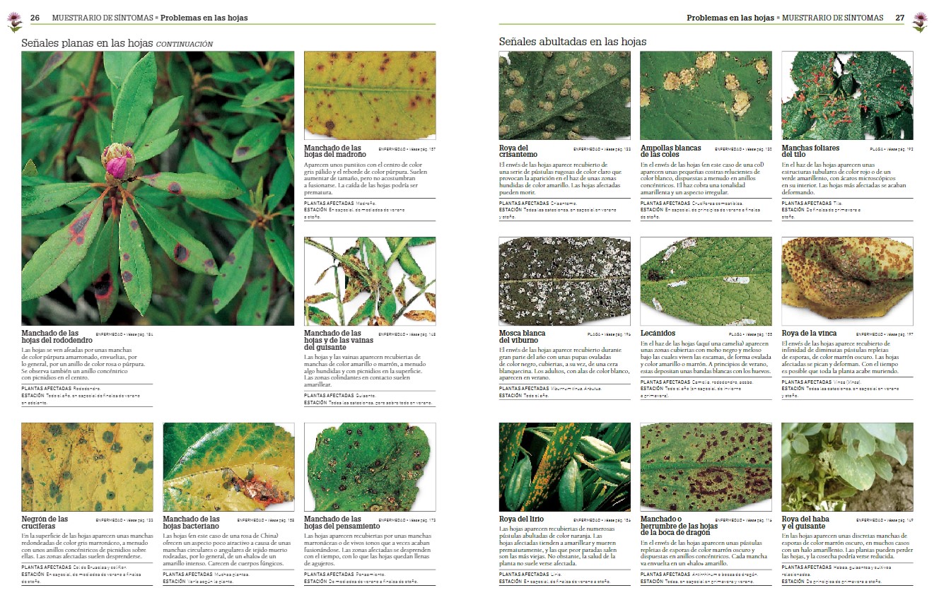 Enciclopedia De Las Plagas Y Enfermedades De Las Plantas - EL BLOG DE ...