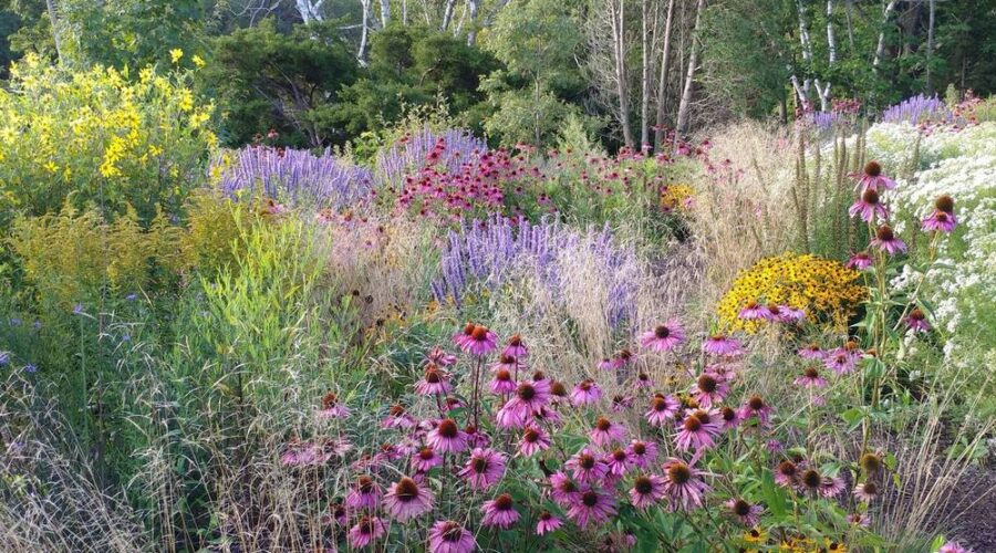 Children's Garden en Fort William Park, Maine, Estados Unidos