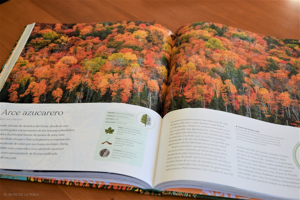 El libro del árbol: relatos, ciencia e historia de los árboles - EL BLOG DE  LA TABLA