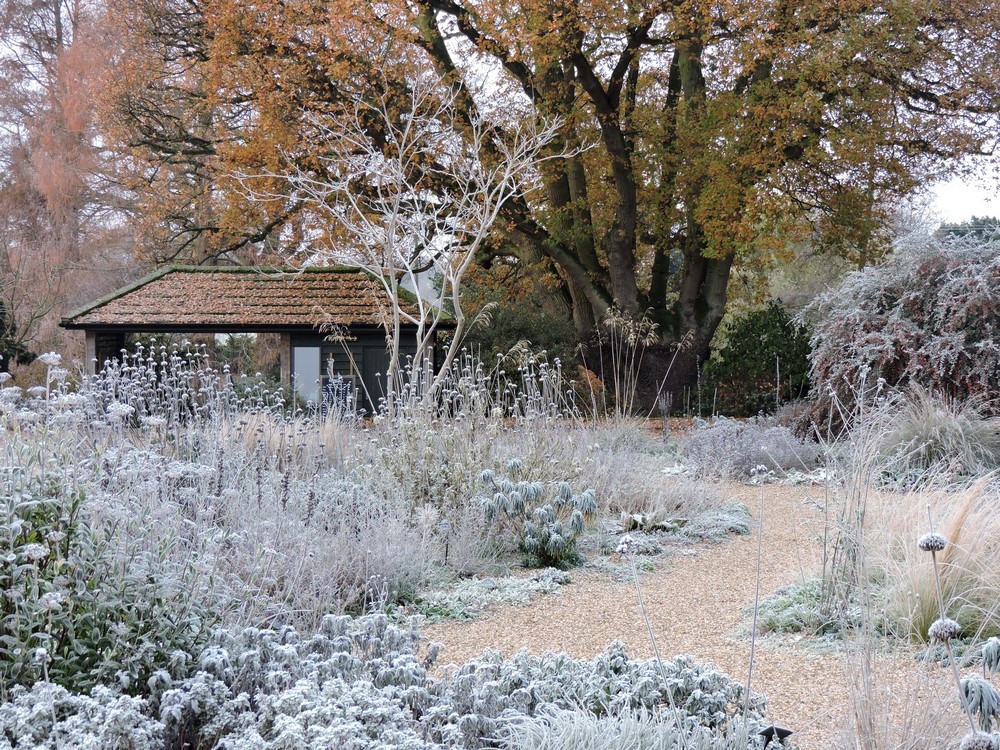 Escarcha en los jardines