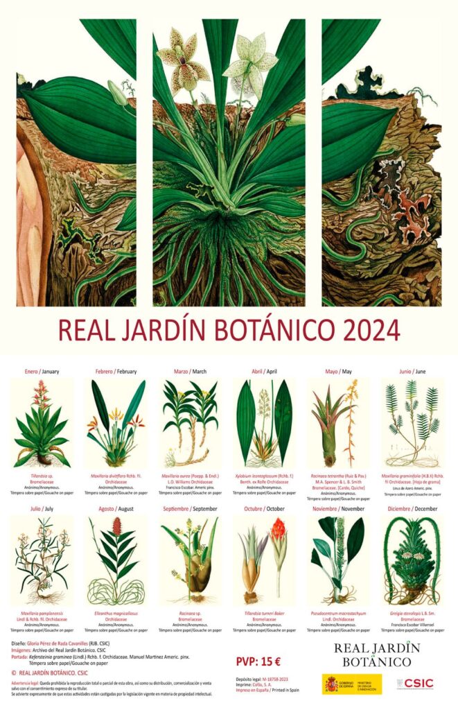 12 Plantas A Reas Ilustran El Calendario 2024 Del Real Jard N Bot Nico   Calendario 2024 Rjb Csic 661x1024 