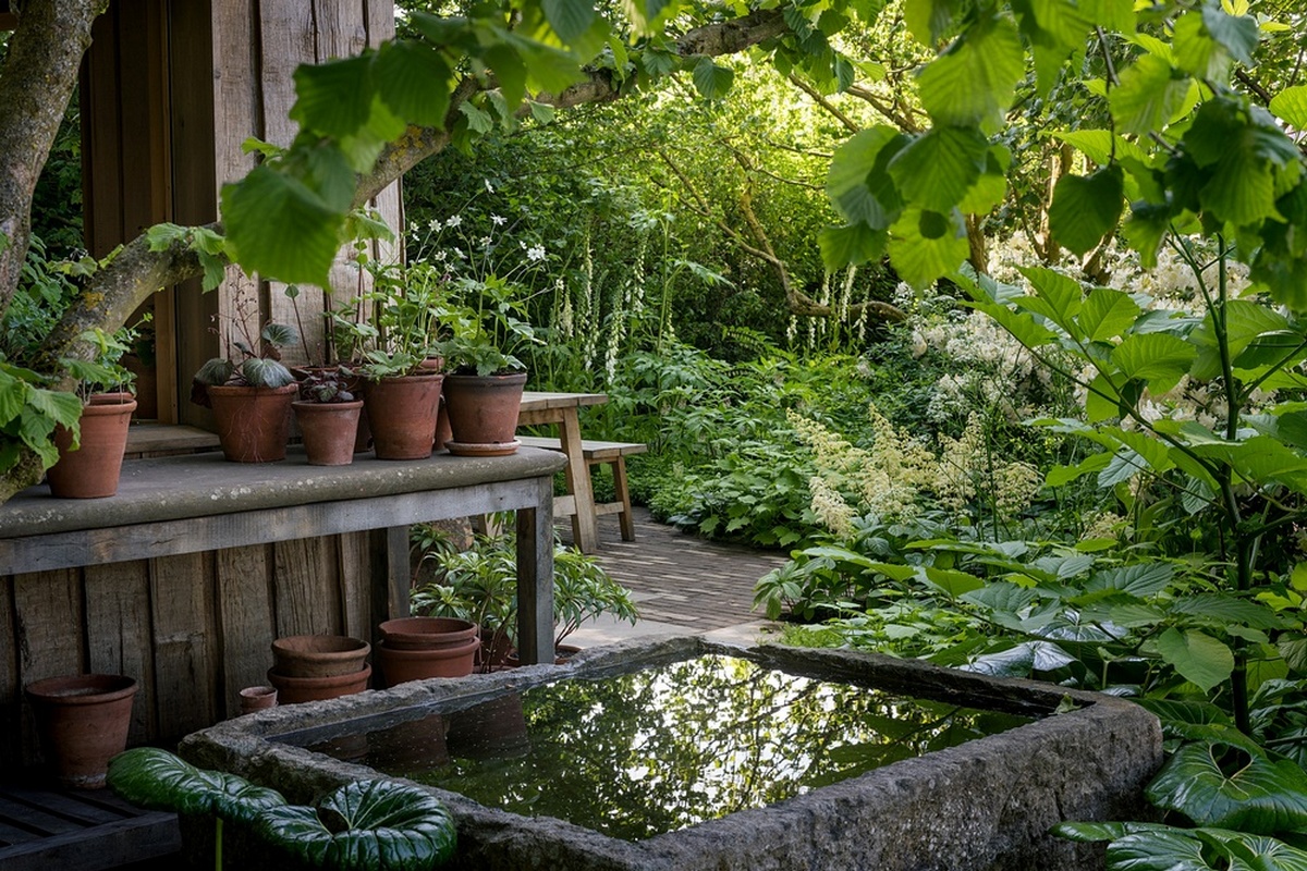 Jardín borde de bosque diseñado por Tom Stuart-Smith para el NGS en Chelsea 2024