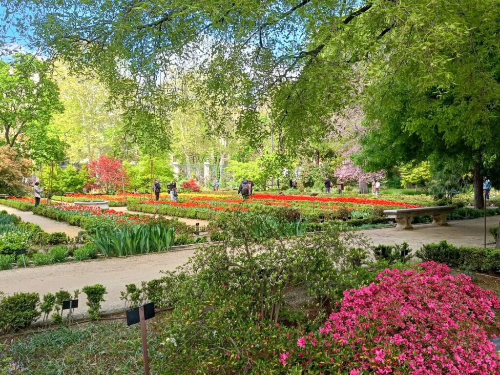 Jardín Botánico de Madrid