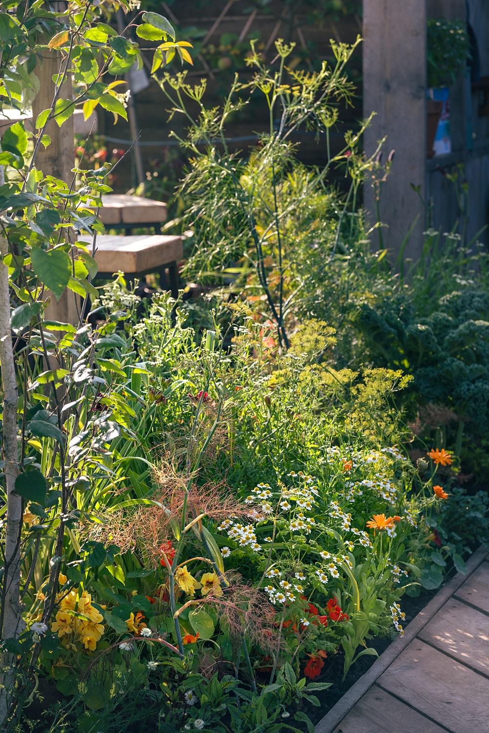 jardín en terraza ecológico