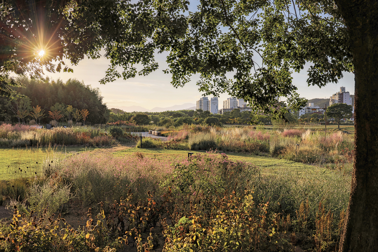 Jardín de estilo naturalista de Piet Oudolf en Corea del Sur